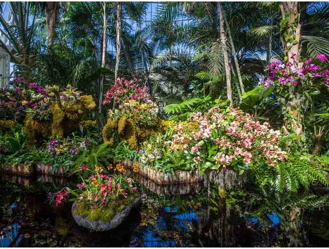 Two Adult Tickets for one Bar Car Night at The New York Botanical Garden's Orchid Show
