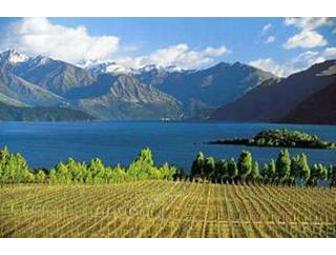 Case of High-End Wines from New Zealand