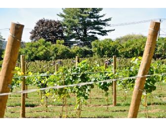 White Silo Farm & Winery - An Afternoon with Lunch, Wine Tastings and Tour