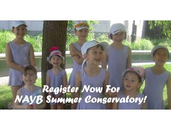 New American Youth Ballet - 1 Week of Summer Ballet Conservatory (Ages 3-11)