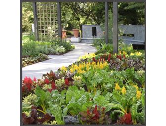 Brooklyn Botanic Garden - One Year Unlimited Admission for 2 Adults plus Children