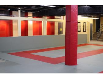 New York Jiu Jitsu - Gift Certificate for 1 Month of Kids' Muay Thai (Age 5-13)
