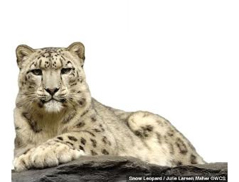 Bronx Zoo - Four General Admission Tickets