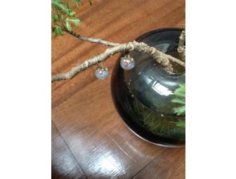 South Sea Pearl Earrings with Sapphires