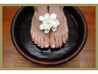 Perfect Pedicure and a Plethora of Gehwol Products