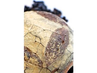 Artisan Bread & Wine Collection from Orwasher's Bakery, NYC