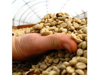 Behind the Scenes at Cafe Grumpy, Brooklyn, NY