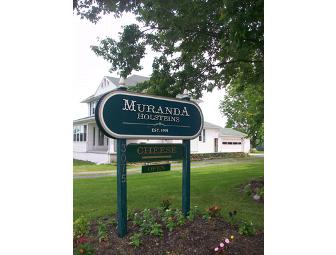 Finger Lakes Work, Play & Stay Getaway, NY