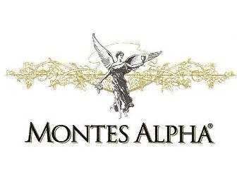 3L Montes 'Alpha' Cabernet '06 & 3L Santa Ema 'Reserve' Merlot '05
