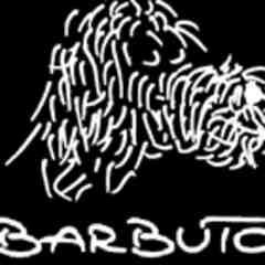 Barbuto