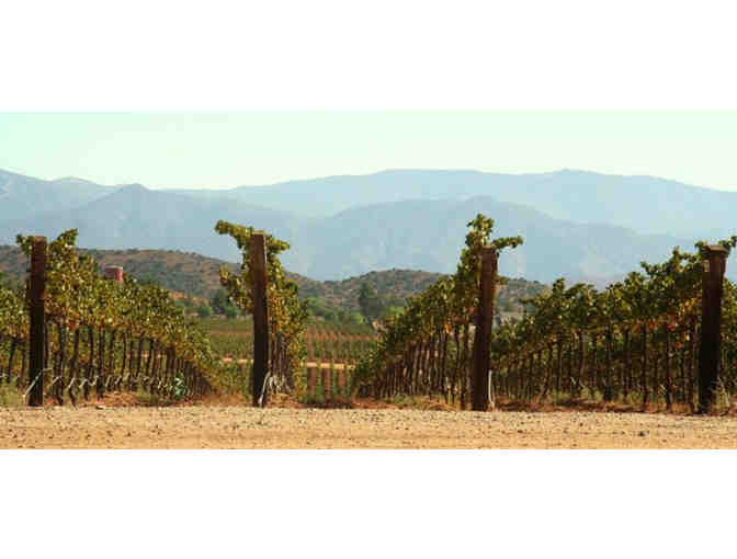 Premium Case of Agua Dulce Cabernet Sauvignon (Kosher wine)