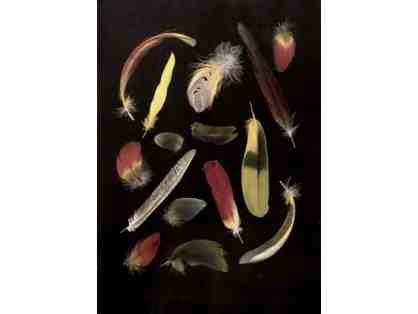 Splash of Parrot Feathers by Christine Fitzgerald