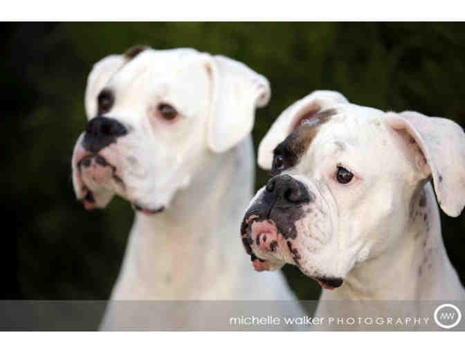 Michelle Walker Photography Session - Party of 6