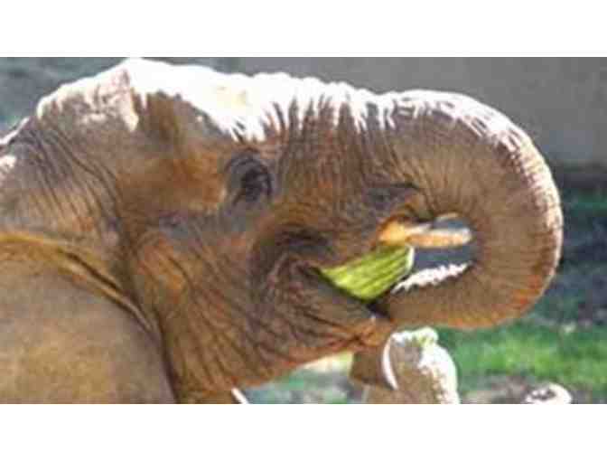 Oakland Zoo - Family Membership