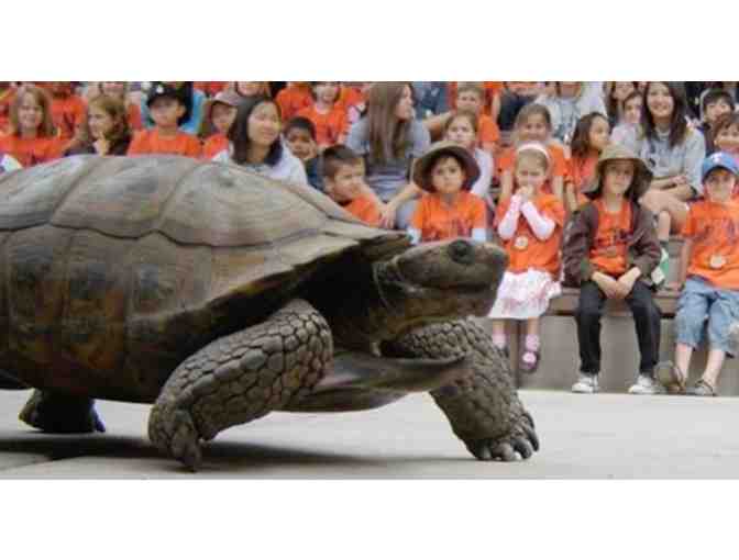 Oakland Zoo - Family Membership