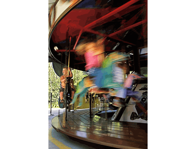 Children's Fairyland - Family Membership