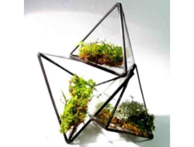 Hatch in Montclair - $25 Gift Certificate