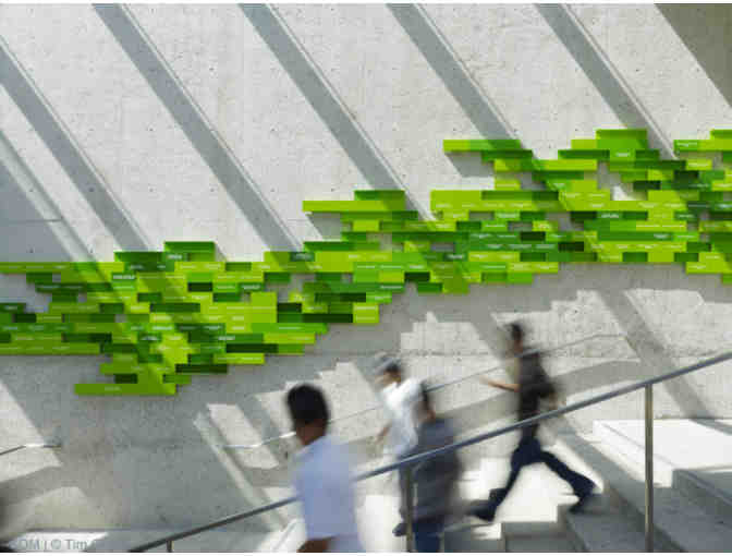 Oakland Museum of California - Family Membership