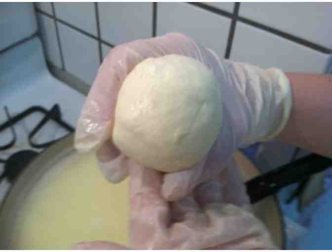 Farmcurious Cheese Making Class - Gift Certificate for Two