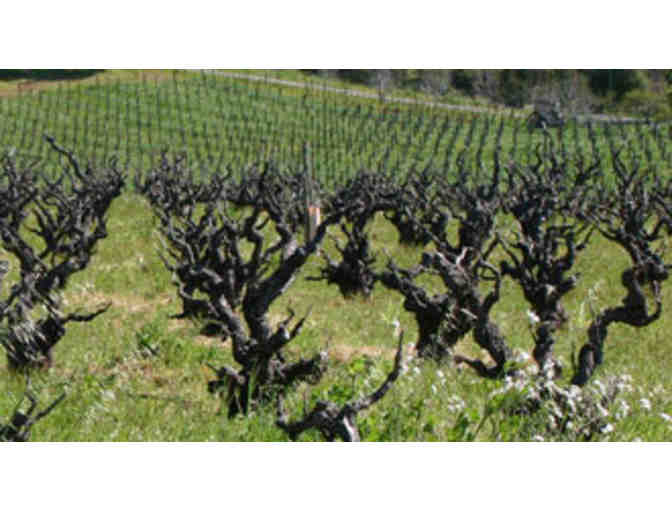 Dashe Cellars - Tasting for 6