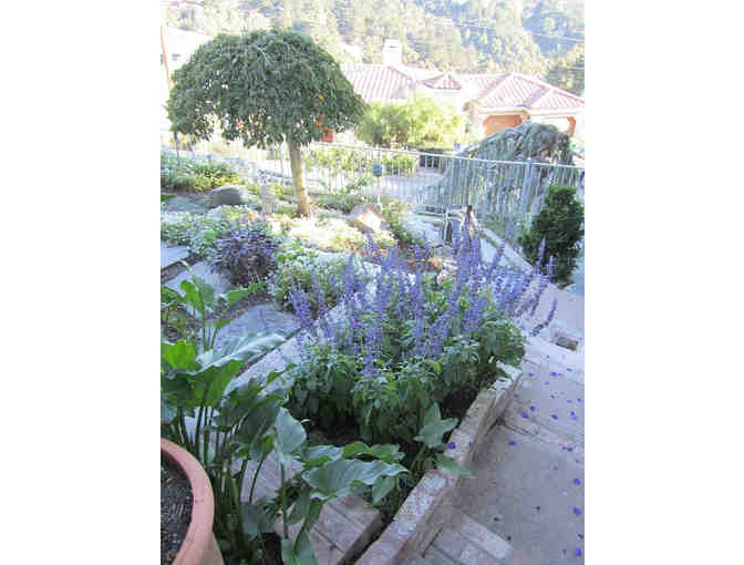 5-Night Stay in San Francisco Bay Area View Home - 1BR/1BA