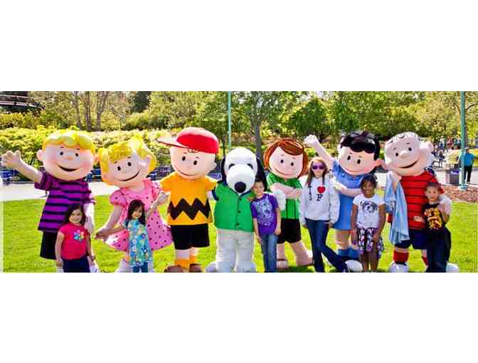 Great America - 4 Passes