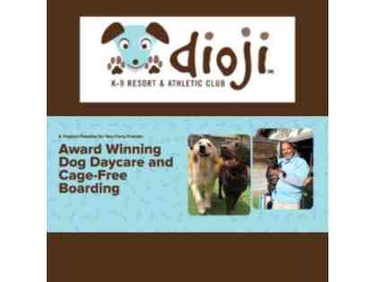 Dioji K-9 Resort & Athletic Club - (3) Days of Doggie Day Care