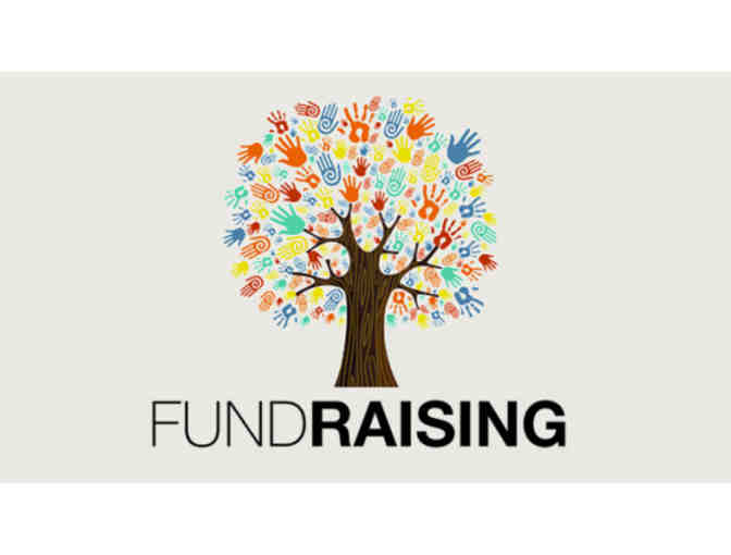 Professional Non-Profit Fundraising Consultation