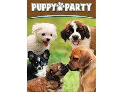 Puppy Party by Wagmor Pets