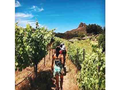 Malibu Wine Hikes: PRIVATE TOUR for up to 12 People