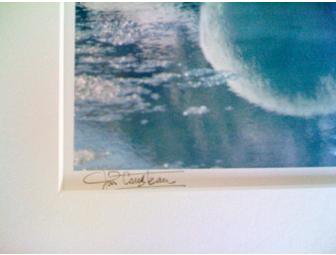 'Polar Bear Reflection' Fine Art Print: Signed by Jean-Michel Cousteau