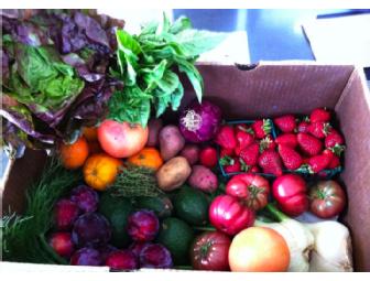 Harvest Box filled with fresh & local fruits and vegetables delivered to your doorstep