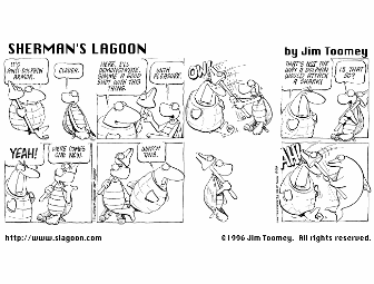 Original 'Sherman's Lagoon' Sunday Comic Strip Drawn by Jim Toomey