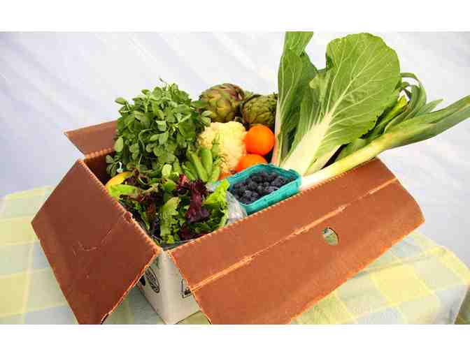 Harvest Box filled with fresh & local fruits and vegetables delivered to your doorstep