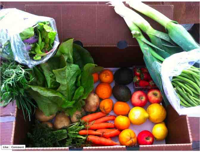 Harvest Box filled with fresh & local fruits and vegetables delivered to your doorstep