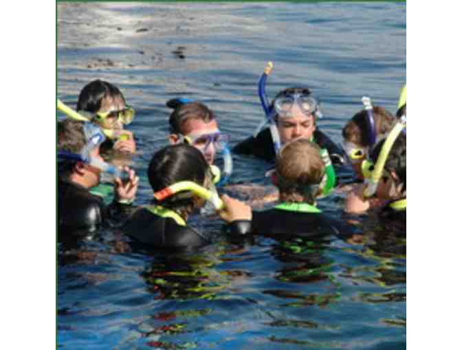 One Week Summer Camp Session on Catalina Island, CA with Catalina Island Camps