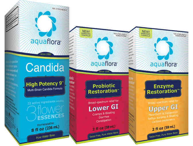 Holiday Wellness Kit