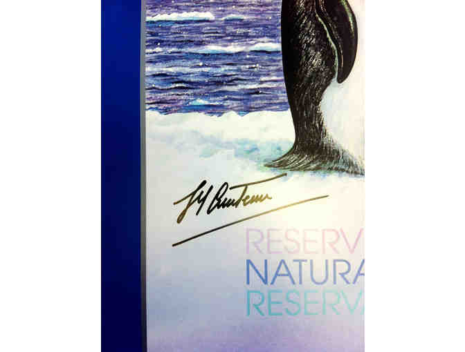 'ANTARCTICA' limited edition poster autographed by Jacques-Yves Cousteau
