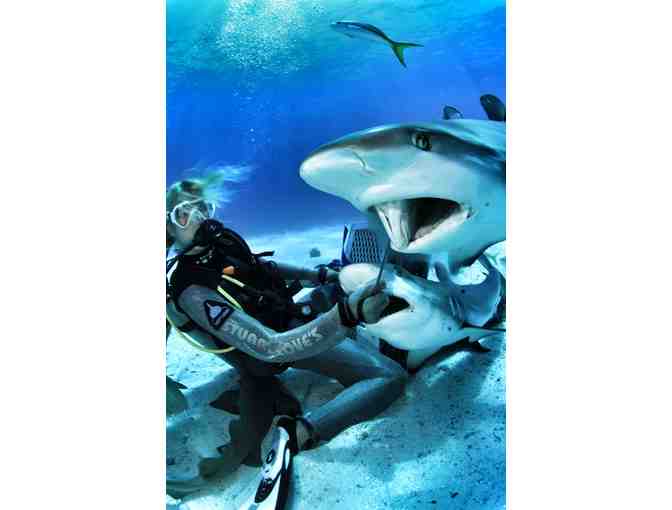 SCUBA Diving Adventure for Two with Stuart Cove's - Nassau, Bahamas