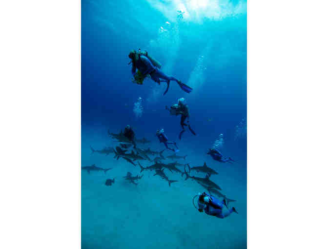 SCUBA Diving Adventure for Two with Stuart Cove's - Nassau, Bahamas