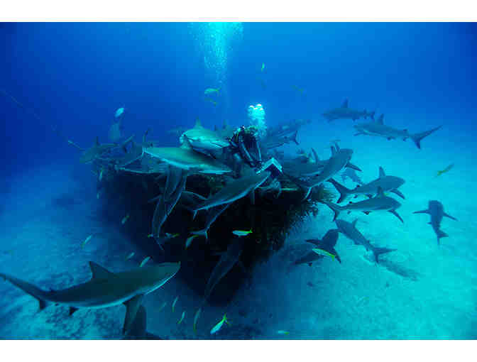 SCUBA Diving Adventure for Two with Stuart Cove's - Nassau, Bahamas