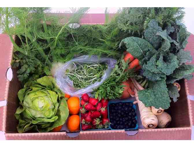 Harvest Box filled with fresh & local fruits and vegetables delivered to your doorstep
