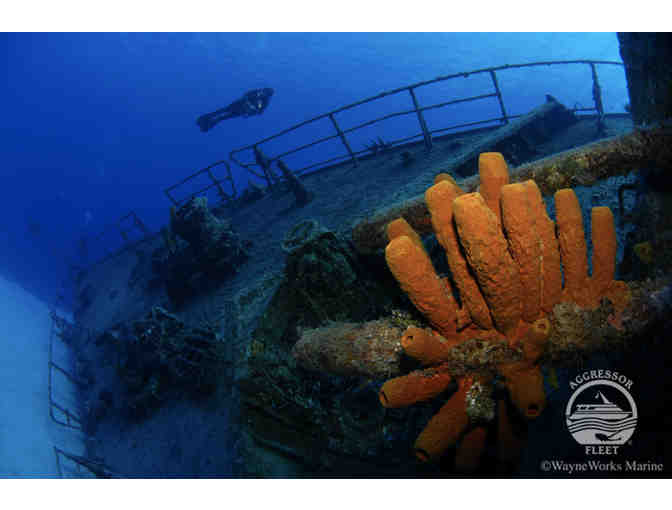 SCUBA diving trip aboard the luxury liveaboard vessel Cayman Aggressor