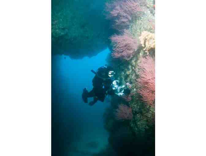 One Day SCUBA Dive trip with Truth Aquatics - Channel Islands, California