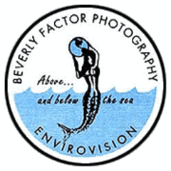 Beverly Factor/Envirovision