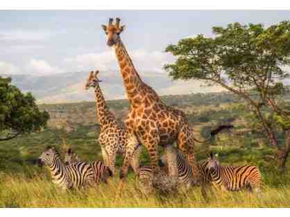 South African Photo Safari for Two at Zulu Nyala Wildlife Reserve