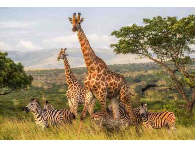 South African Photo Safari for Two at Zulu Nyala Wildlife Reserve