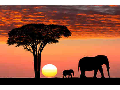 African Photo Safari - Zulu Nyala Game Lodge