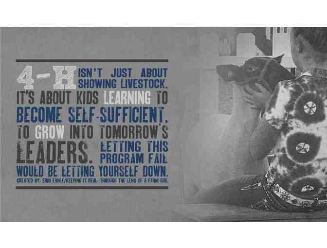 Highland County Basket