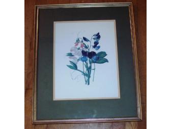 Trio of framed botanical prints